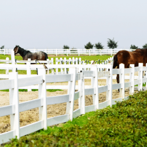 carriage lane farm