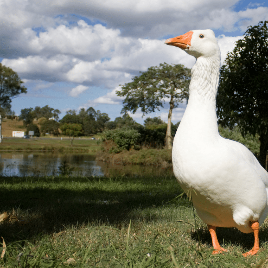 Hazard Bankruptcy Attorneys ASKLaw Lexington, KY